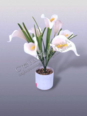 Букет Калл белых (7 голов) оптом в магазине ритуальных товаров