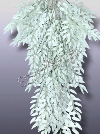 Лиана Лимонника кустового белая оптом в магазине ритуальных товаров