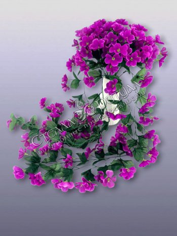 Лиана Сиреневая фиалка оптом в магазине ритуальных товаров