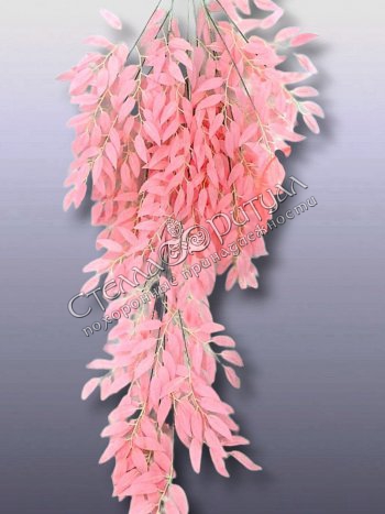 Лиана Лимонника кустового розовая оптом в магазине ритуальных товаров