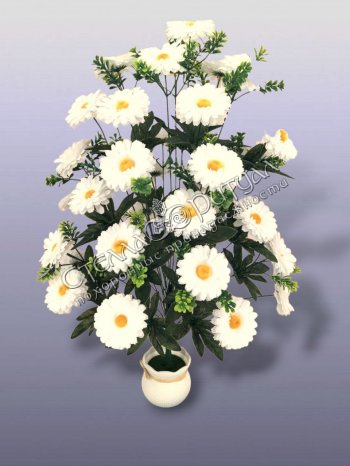 Букет Ромашек белых (36 голов) оптом в магазине ритуальных товаров