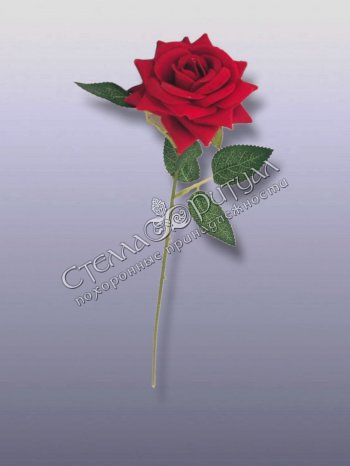 Цветок Розы бархат (40 см) оптом в магазине ритуальных товаров