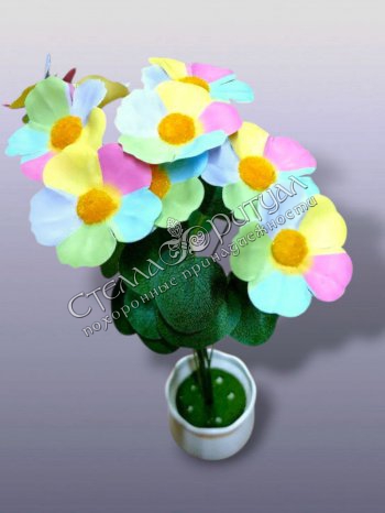 Цветик-семицветик (подарочный набор) оптом в магазине ритуальных товаров