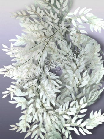 Лиана Лимонника белая оптом в магазине ритуальных товаров