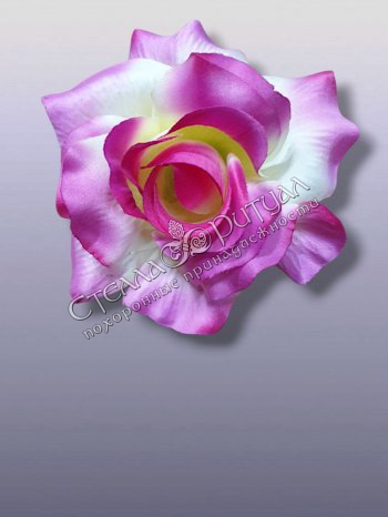 Роза "Лансет" оптом в магазине ритуальных товаров