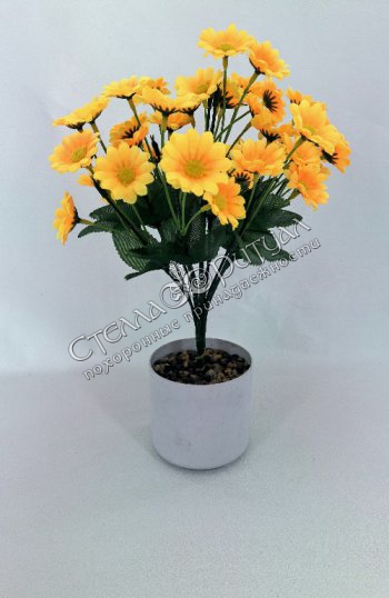 Букет Ромашек "Катя" оптом в магазине ритуальных товаров