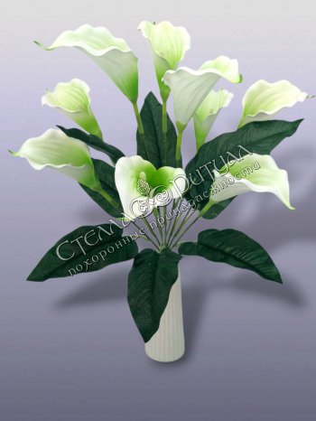 Букет Калл (9 голов) оптом в магазине ритуальных товаров