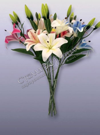 Ветка Лилии с бутонами оптом в магазине ритуальных товаров