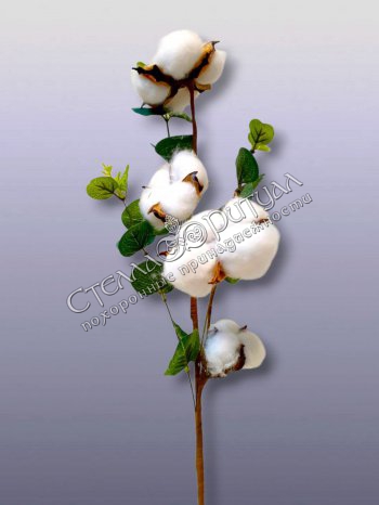 Ветка Хлопка (55 см) оптом в магазине ритуальных товаров