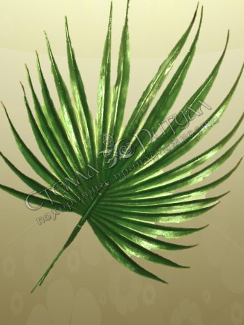 Зелень Лист пальмы круглый "Ладошка" (35 сантиметров) оптом в магазине ритуальных товаров